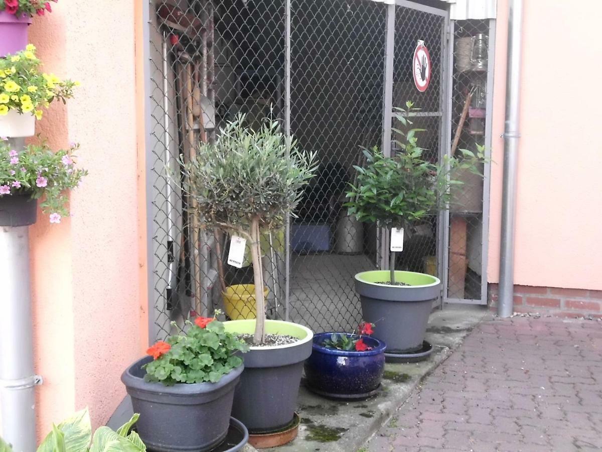 Am Erxleben-hotel Apartment *
